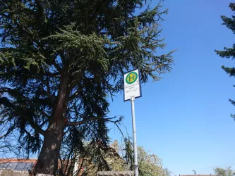 Bushaltestelle Siebeldingen-Birkweiler Bahnhof