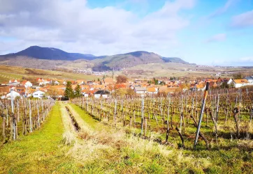 Blick auf Birkweiler