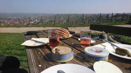 Picknick auf dem Mandelhain