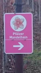 Wegweiser Mandelhain