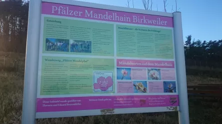 Infoschild