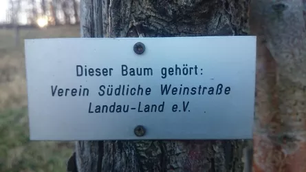 Mandelbaum
