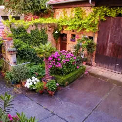 Blick aus der Ferienwohnung in den Hof