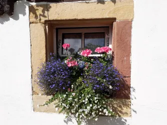 Blumenfenster im Hof
