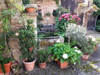 Mediterrane Innenhof-Gestaltung