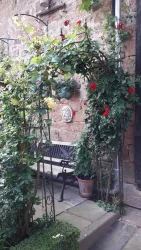 Sitzen unter Rosen und Weinreben