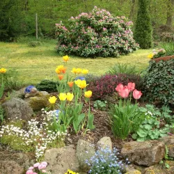 Unser Garten