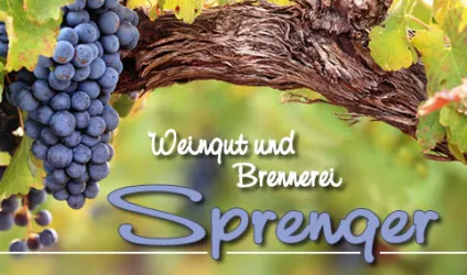 Eine Traube mit reifen blauen Weinen hängt an einem Weinstock. Im Hintergrund steht der Schriftzug "Weingut und Brennerei Sprenger".