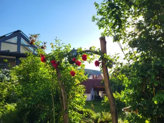 Ein schöner Garten mit einem Rosenbogen und viel grünem Pflanzenbewuchs. Im Hintergrund ist ein Haus und ein klarer Himmel zu sehen.