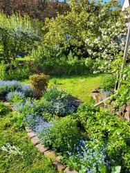 Weg zum Gemüsegarten