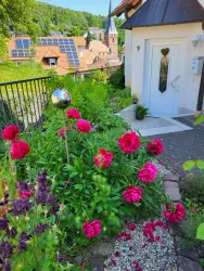 Ein schöner Garten mit bunten Blumen und einem weißen Eingangstor. Im Hintergrund sind Dächer mit Solarpanelen und eine Kirche zu sehen.