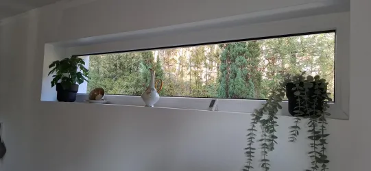 Ein Fenster mit Pflanzen und einem Ausblick auf einen grünen Garten. Es gibt Töpfe mit unterschiedlichen Pflanzen und eine dekorative Figur.