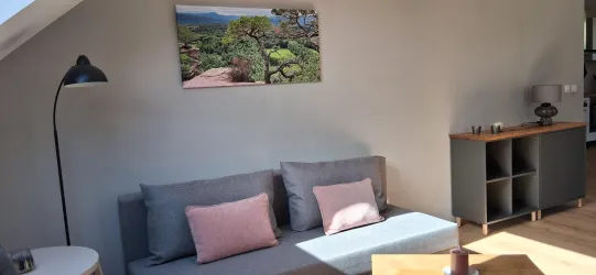 Ein modernes Wohnzimmer mit einem grauen Sofa und rosa Kissen. An der Wand hängt ein Landschaftsbild, und im Raum stehen eine Stehlampe und ein Regal.