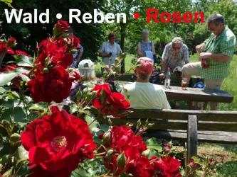 Gaestewanderwoche_Doerrenbach_Fotos-Hermes_Rosen-R