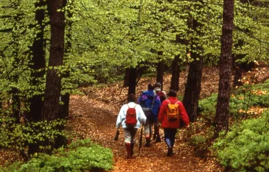 Wandern