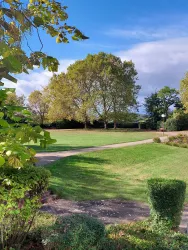 Blick in den Park