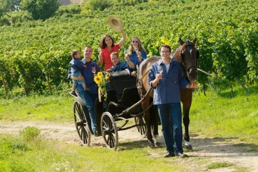 Eine Kutsche mit Fahrgästen welche ein Glas Wein in der Hand halten und miteinander anstoßen.