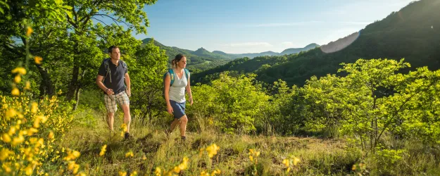 Wanderer auf der Pfälzer Hüttentour