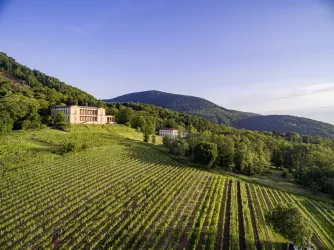 Villa Ludwigshöhe, Edenkoben
