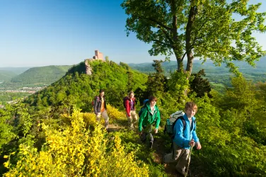 Familie wandert im Pfälzerwald nahe der Burg Trifels.