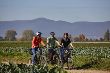 Radfahren auf dem Kraut und Rüben Radweg