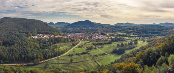 Ausgedehnte Waldflächen und Bergkette bei Annweiler mit der Reichsfeste Trifels