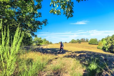 Einsamer Wanderer auf dem beschaulichen Veldenz Wanderweg