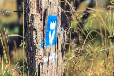 Wegweisende Markierung Veldenz Wanderweg