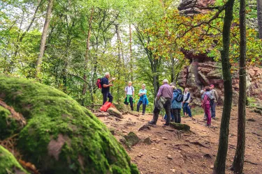 Zwischenstopp auf der Kastanienwanderung, Aufstieg zu den Geiersteinen bei Lug 