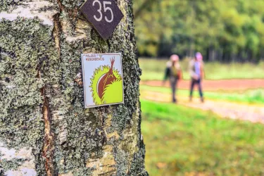 Wanderer auf dem Pälzer Keschdeweg