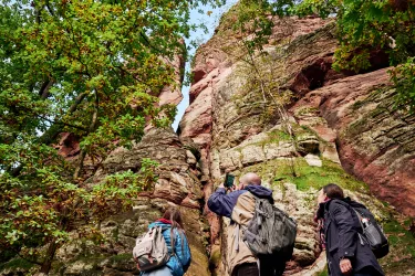 Bizarre Felsformation auf dem Dahner Felsenpfad