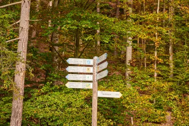 Wegweiser Dahner Felsenpfad