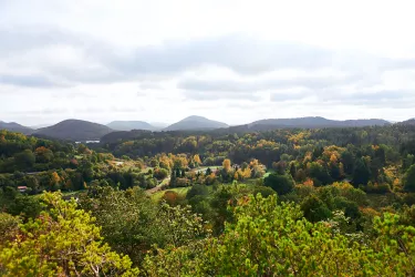 Aussicht über den Pfälzerwald bei Dahn