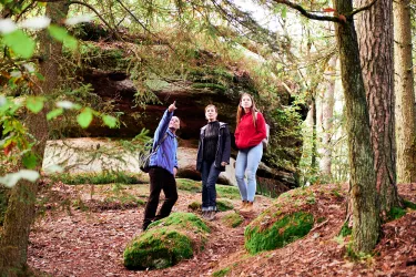 Bizarre Felsformation im Pfälzerwald