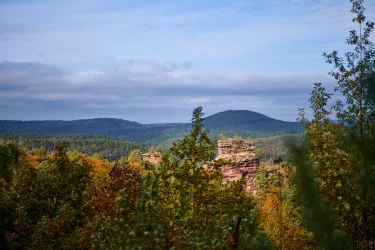 Bizarre Felsformation im Pfälzerwald