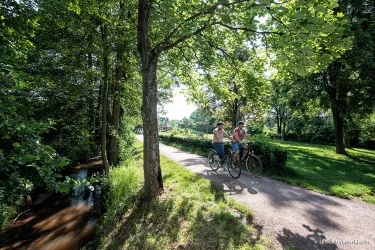 Radeln an der Südlichen Weinstraße