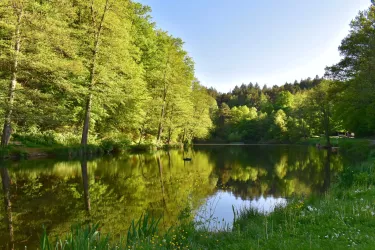Eisweiher, Felsenwaldtour