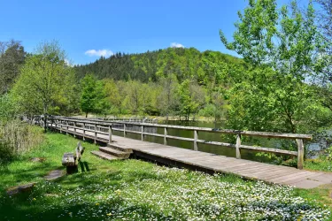 Klosterweiher, Wasgau-Seen-Tour
