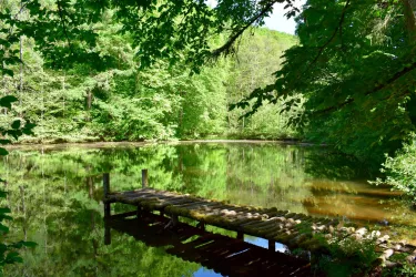 Weiher, Teufelspfad