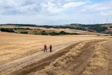 Zwei Wanderer auf weitem Höhenzug des Pfälzer Berglandes