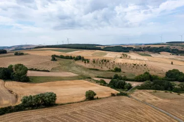 Weite so weit das Auge reicht im Pfälzer Bergland