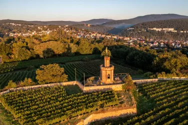 Flaggenturm bei Bad Dürkheim mit Pfälzerwald im Hintergrund