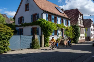 Mit dem Fahrrad die Felder und Weindörfer genießen