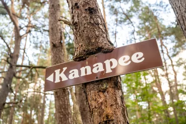 Wegweiser Kanapee im Pfälzerwald