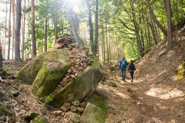 Zwei Wanderer bergauf im Pfälzerwald