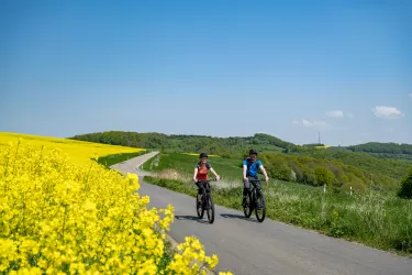 Mit dem Fahrrad an den Rapsfeldern vorbei