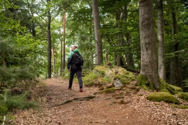 Wanderer auf naturbelassenem Pfad durch den Pfälzerwald