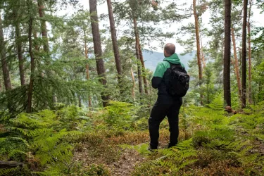 Wanderer macht Pause im Pfälzerwald zur inneren Einkehr