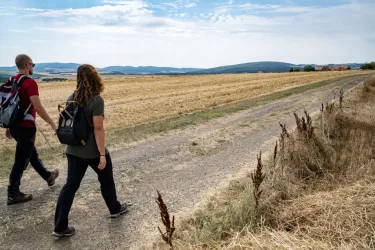 Auf der Höhe des Pfälzer Berglands in Richtung eines Bauernhofs