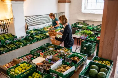 Einkaufen im Pfälzer Hofladen